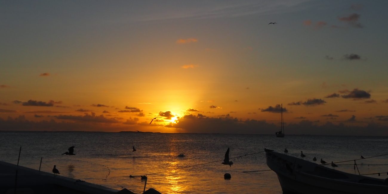 Los roques